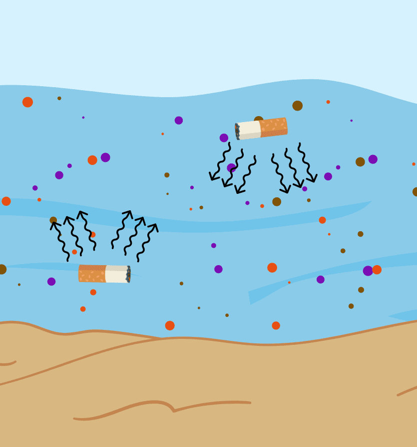 cigarette butts in the water wafting chemicals and microplastics